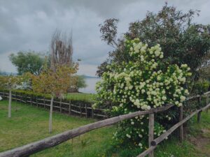 Giro del Lago di Bolsena