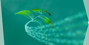 Infineon lancia Soluboard®: il PCB ecologico e biodegradabile