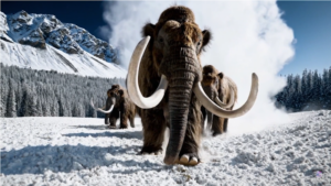 OpenAI presenta SORA! Sora