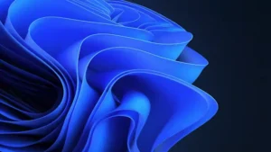 Aggiornamenti bloccati per un bug nei supporti Windows 11 Windows 11