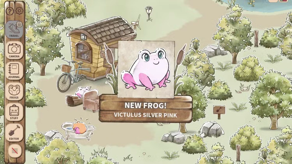 Kamaeru: A Frog Refuge
