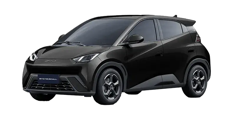 auto elettriche Seagull BYD