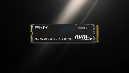 PNY CS3250: un SSD Gen5 con ottime prestazioni.. sulla carta CS3250