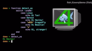 Fish shell