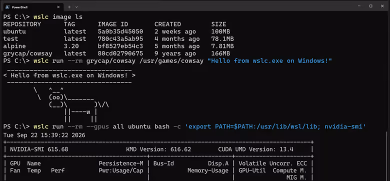 WSL Containers